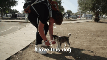 17-Year-Old Syrian Refugee Carried His Puppy 500km To Greece