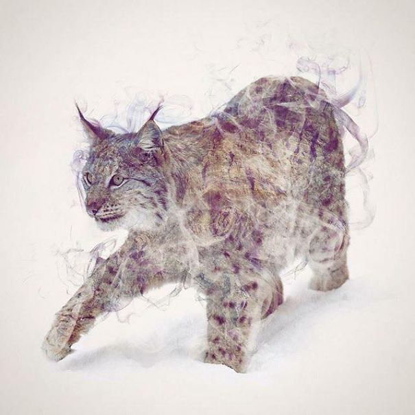 Wild Animals, Smoke And Nature Merged In My Double Exposure Photos Wild Animals, Smoke And Nature Merged In My Double Exposure Photos