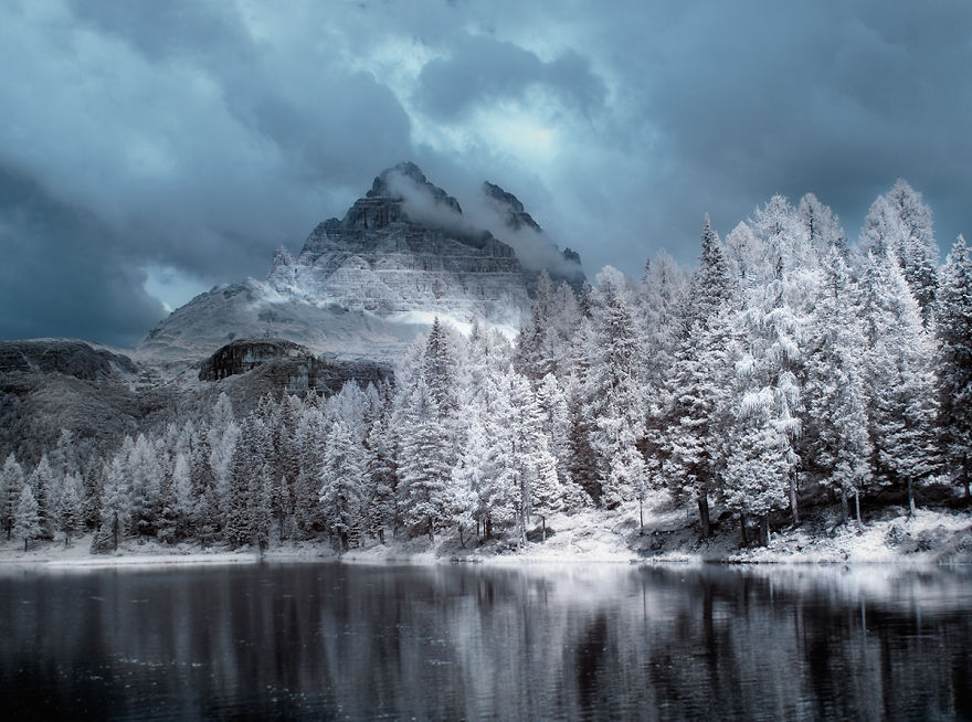 The Majestic Beauty Of Trees In Poland Captured In Infrared Photography The Majestic Beauty Of Trees In Poland Captured In Infrared Photography
