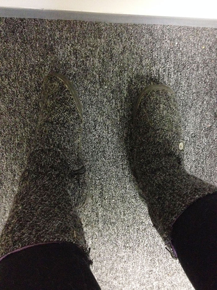 92 People Who Accidentally Dressed Like Their Surroundings