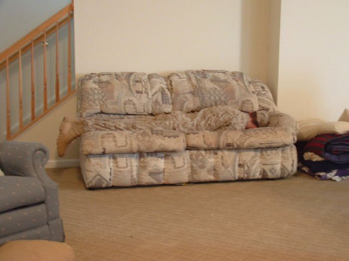 92 People Who Accidentally Dressed Like Their Surroundings