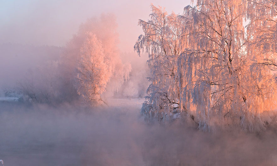 Belarusian Photographer Wakes Up Early In The Morning To Capture The Beauty Of Winter Belarusian Photographer Wakes Up Early In The Morning To Capture The Beauty Of Winter