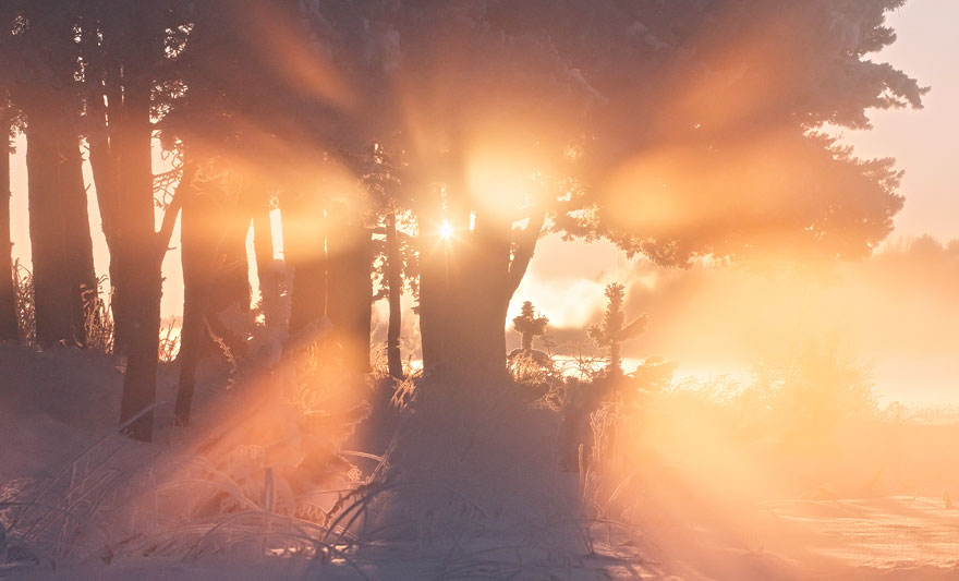 Belarusian Photographer Wakes Up Early In The Morning To Capture The Beauty Of Winter Belarusian Photographer Wakes Up Early In The Morning To Capture The Beauty Of Winter