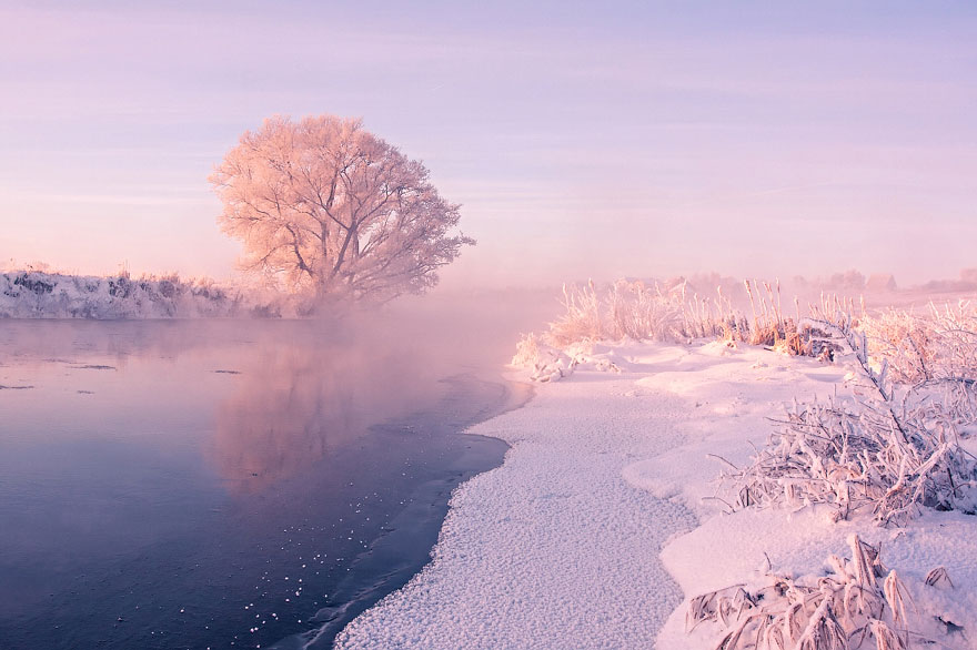 Belarusian Photographer Wakes Up Early In The Morning To Capture The Beauty Of Winter Belarusian Photographer Wakes Up Early In The Morning To Capture The Beauty Of Winter