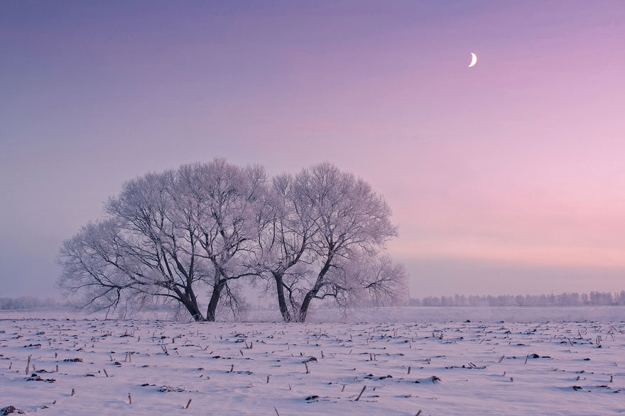 Belarusian Photographer Wakes Up Early In The Morning To Capture The Beauty Of Winter Belarusian Photographer Wakes Up Early In The Morning To Capture The Beauty Of Winter