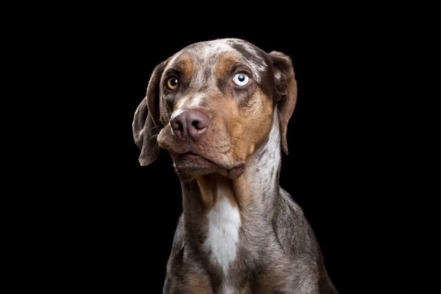 After Posting My Photo Project On Bored Panda My Work Got Popular And Now I&#8217;m Releasing A Book