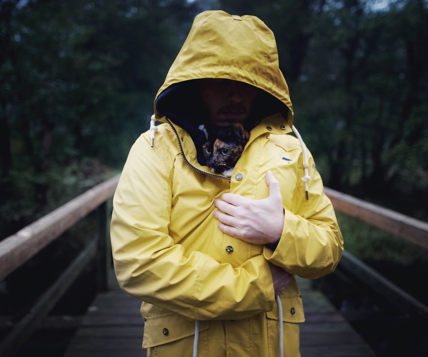 I Photographed My Cat Throughout The Seasons I Photographed My Cat Throughout The Seasons