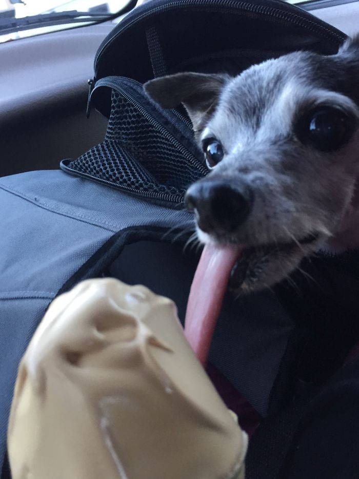 89 Photos Of Animals Eating That’ll Make You Smile 89 Photos Of Animals Eating That’ll Make You Smile