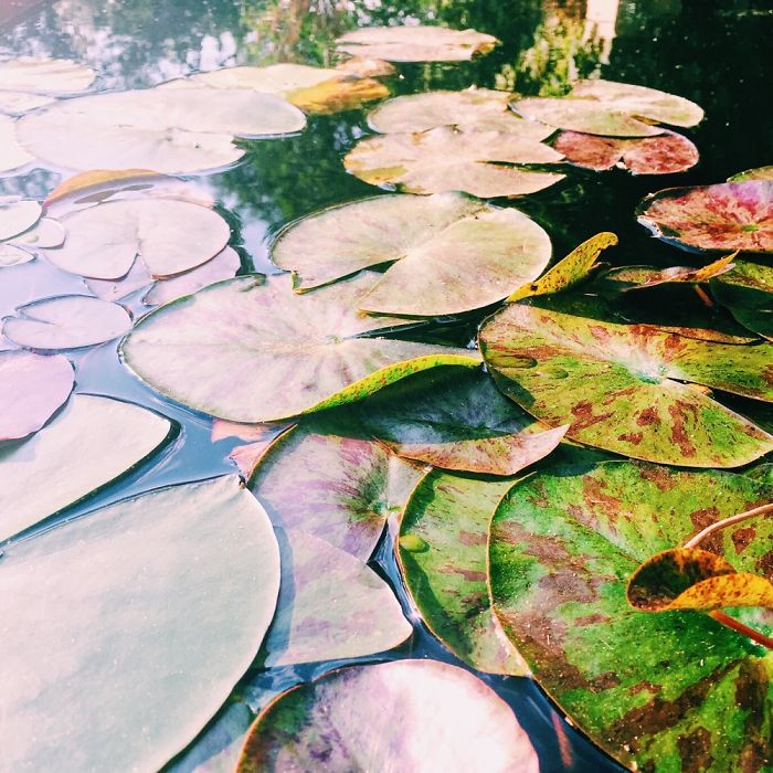 89 Photos Of Animals Eating That’ll Make You Smile 89 Photos Of Animals Eating That’ll Make You Smile