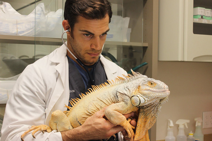 The Hottest Animal Doctor Ever That’ll Make You Want To Get Your Pet Checked The Hottest Animal Doctor Ever That’ll Make You Want To Get Your Pet Checked