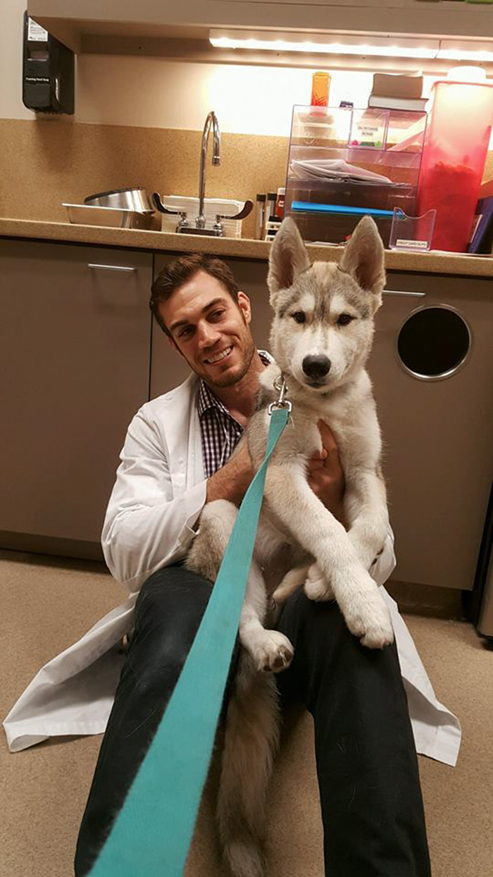 The Hottest Animal Doctor Ever That’ll Make You Want To Get Your Pet Checked The Hottest Animal Doctor Ever That’ll Make You Want To Get Your Pet Checked