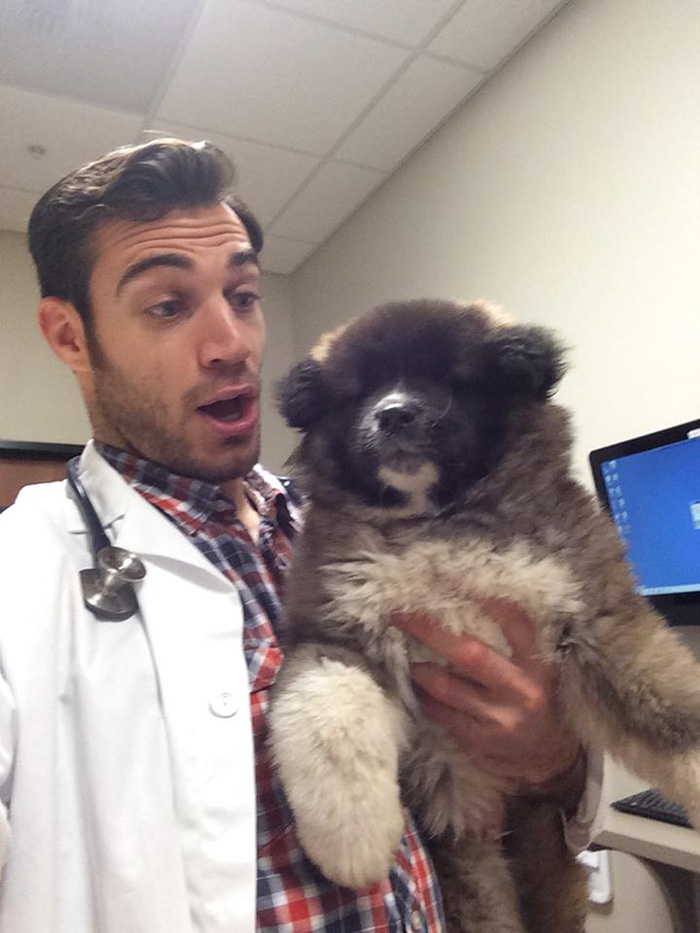 The Hottest Animal Doctor Ever That’ll Make You Want To Get Your Pet Checked The Hottest Animal Doctor Ever That’ll Make You Want To Get Your Pet Checked