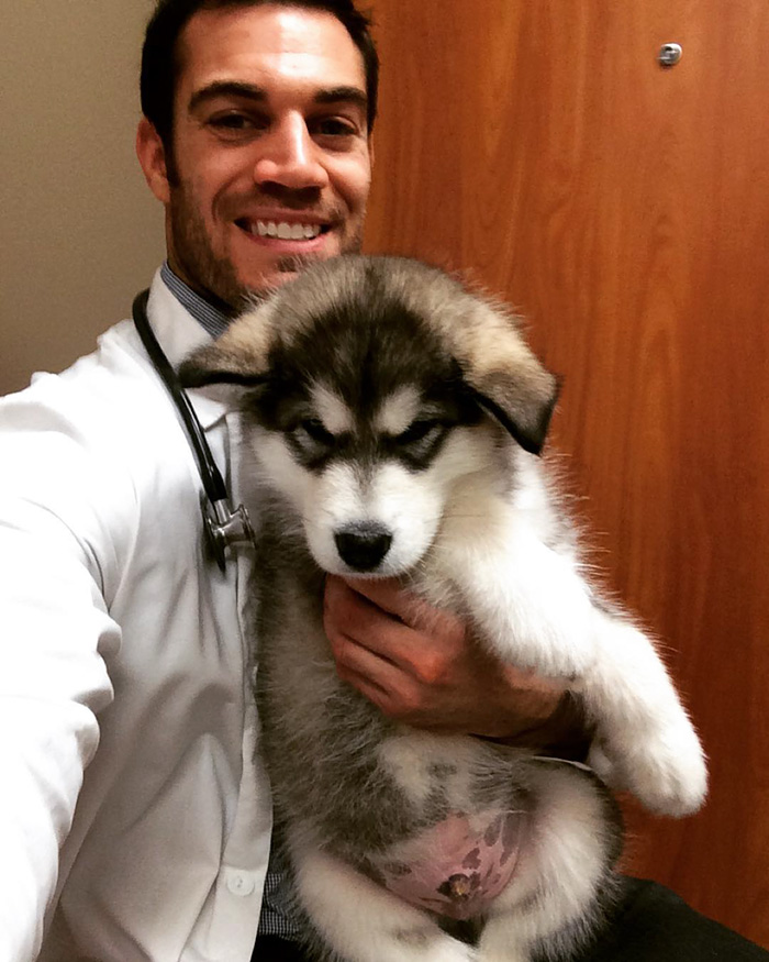 The Hottest Animal Doctor Ever That’ll Make You Want To Get Your Pet Checked The Hottest Animal Doctor Ever That’ll Make You Want To Get Your Pet Checked