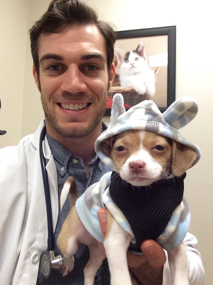 The Hottest Animal Doctor Ever That’ll Make You Want To Get Your Pet Checked The Hottest Animal Doctor Ever That’ll Make You Want To Get Your Pet Checked