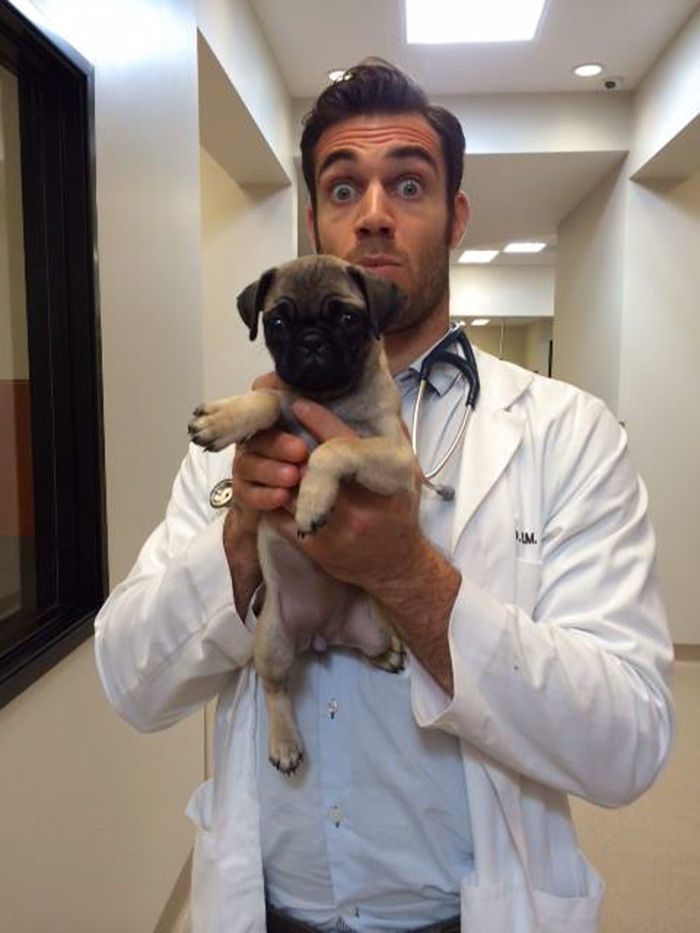 The Hottest Animal Doctor Ever That’ll Make You Want To Get Your Pet Checked The Hottest Animal Doctor Ever That’ll Make You Want To Get Your Pet Checked
