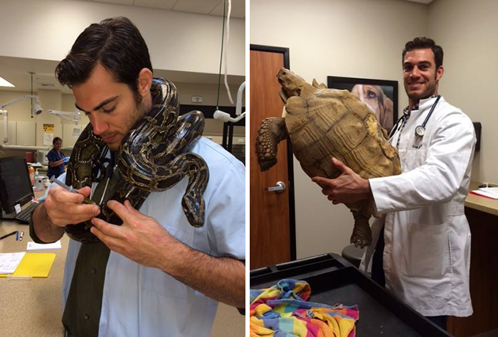 The Hottest Animal Doctor Ever That’ll Make You Want To Get Your Pet Checked The Hottest Animal Doctor Ever That’ll Make You Want To Get Your Pet Checked