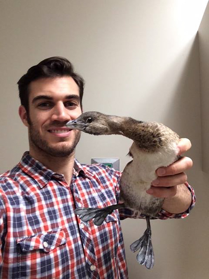 The Hottest Animal Doctor Ever That’ll Make You Want To Get Your Pet Checked The Hottest Animal Doctor Ever That’ll Make You Want To Get Your Pet Checked