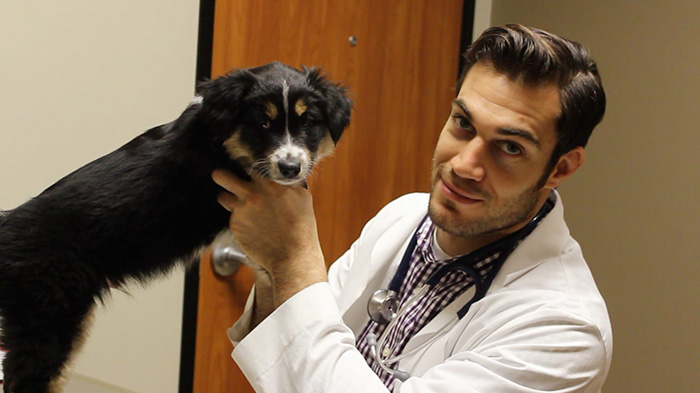 The Hottest Animal Doctor Ever That’ll Make You Want To Get Your Pet Checked The Hottest Animal Doctor Ever That’ll Make You Want To Get Your Pet Checked