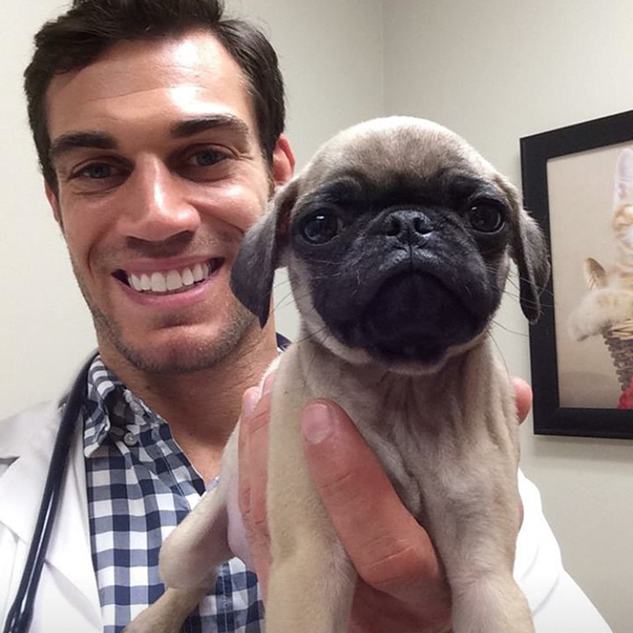 The Hottest Animal Doctor Ever That’ll Make You Want To Get Your Pet Checked The Hottest Animal Doctor Ever That’ll Make You Want To Get Your Pet Checked