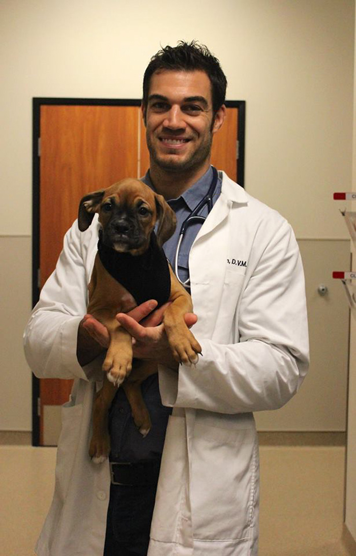 The Hottest Animal Doctor Ever That’ll Make You Want To Get Your Pet Checked The Hottest Animal Doctor Ever That’ll Make You Want To Get Your Pet Checked