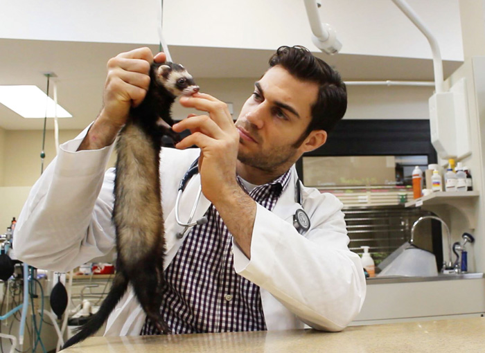 The Hottest Animal Doctor Ever That’ll Make You Want To Get Your Pet Checked The Hottest Animal Doctor Ever That’ll Make You Want To Get Your Pet Checked