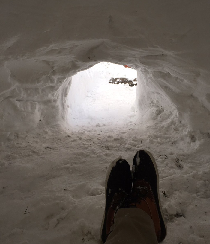 Man Builds Igloo In Brooklyn During Blizzard, Lists It On Airbnb For $200 Man Builds Igloo In Brooklyn During Blizzard, Lists It On Airbnb For $200