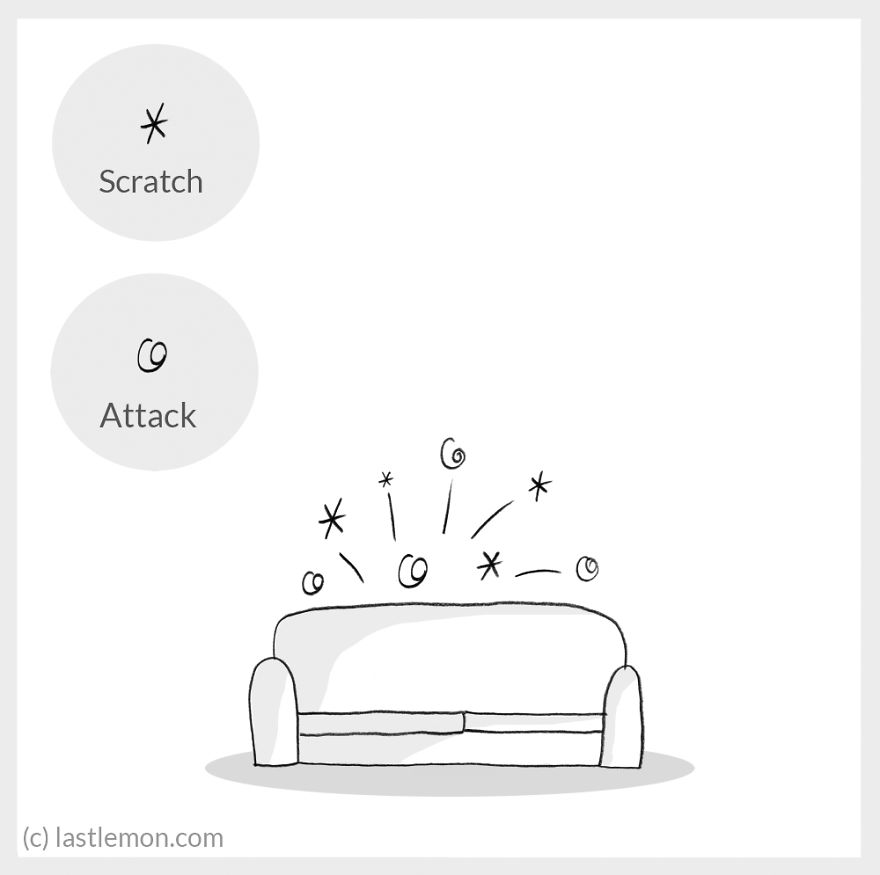 Cat Moods Explained Cat Moods Explained