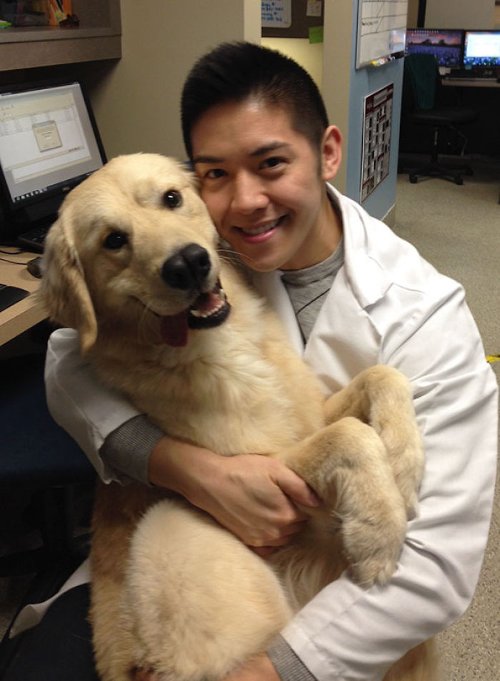 51 Benefits Of Working At An Animal Hospital 51 Benefits Of Working At An Animal Hospital