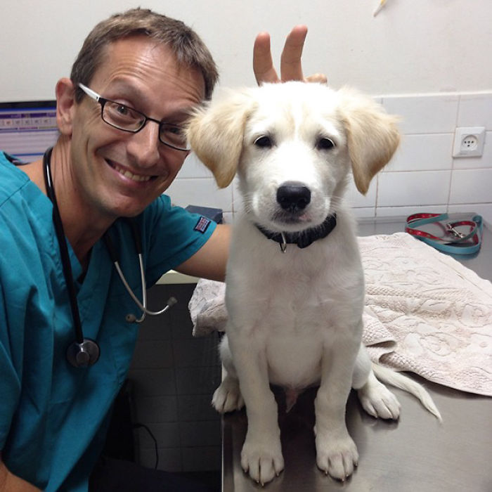 51 Benefits Of Working At An Animal Hospital 51 Benefits Of Working At An Animal Hospital