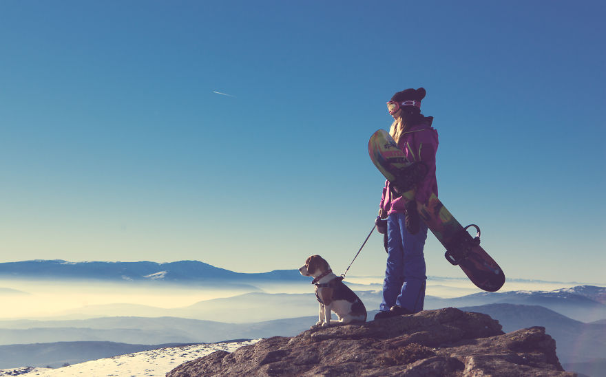 Meet Eli, Our Snowboarding Beagle Meet Eli, Our Snowboarding Beagle