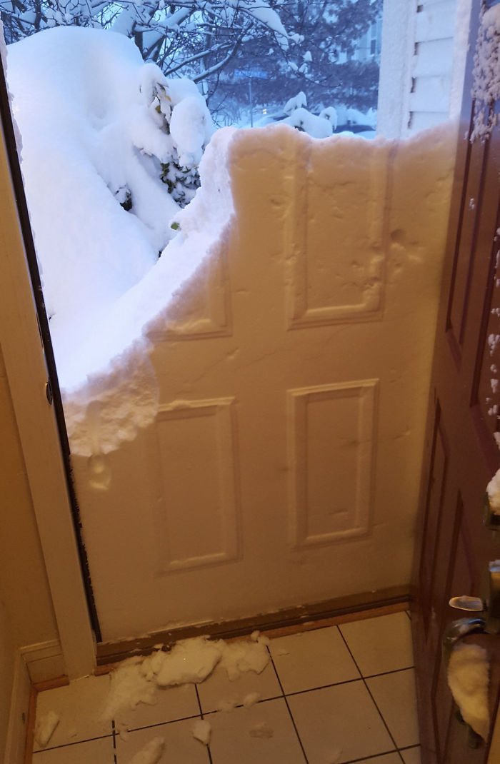 72 Pics That Perfectly Capture How Insane #Blizzard2016 Is 72 Pics That Perfectly Capture How Insane #Blizzard2016 Is