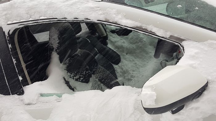 72 Pics That Perfectly Capture How Insane #Blizzard2016 Is 72 Pics That Perfectly Capture How Insane #Blizzard2016 Is