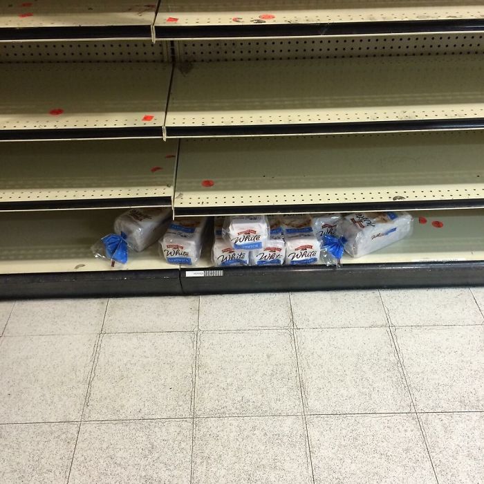 72 Pics That Perfectly Capture How Insane #Blizzard2016 Is 72 Pics That Perfectly Capture How Insane #Blizzard2016 Is
