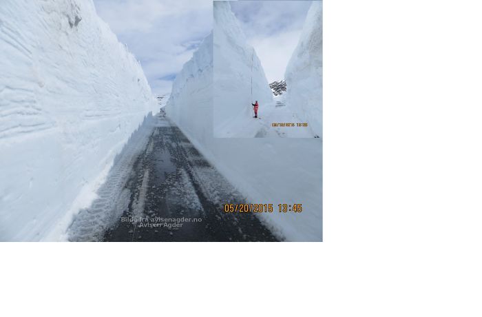 72 Pics That Perfectly Capture How Insane #Blizzard2016 Is 72 Pics That Perfectly Capture How Insane #Blizzard2016 Is