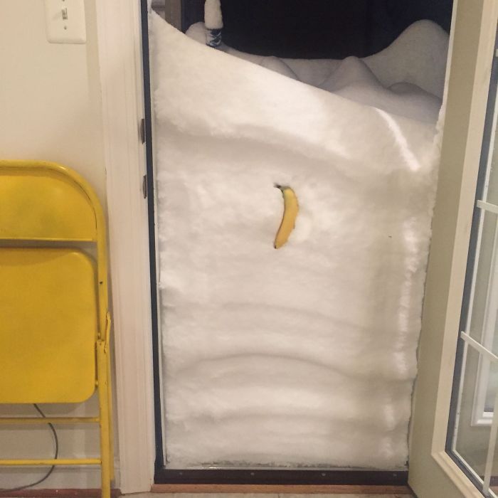 72 Pics That Perfectly Capture How Insane #Blizzard2016 Is 72 Pics That Perfectly Capture How Insane #Blizzard2016 Is