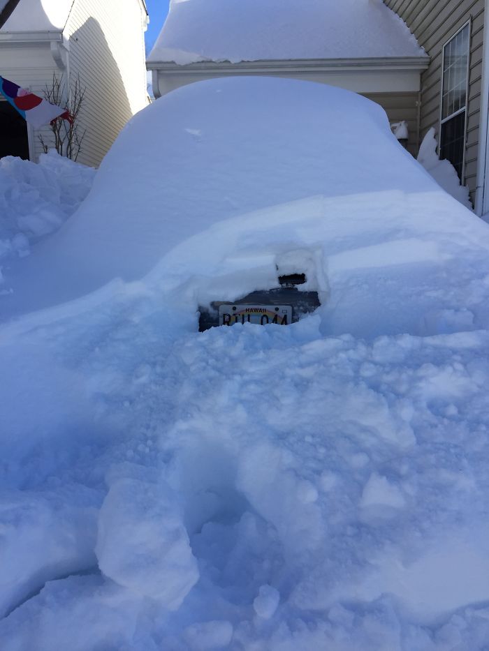 72 Pics That Perfectly Capture How Insane #Blizzard2016 Is 72 Pics That Perfectly Capture How Insane #Blizzard2016 Is
