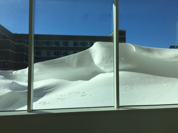 72 Pics That Perfectly Capture How Insane #Blizzard2016 Is 72 Pics That Perfectly Capture How Insane #Blizzard2016 Is