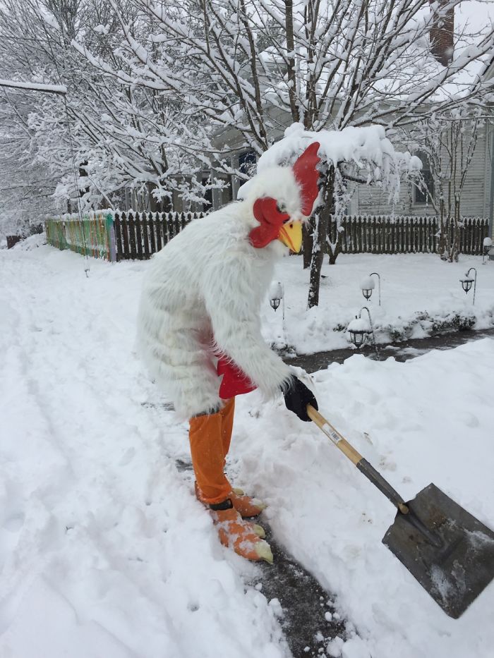 72 Pics That Perfectly Capture How Insane #Blizzard2016 Is 72 Pics That Perfectly Capture How Insane #Blizzard2016 Is