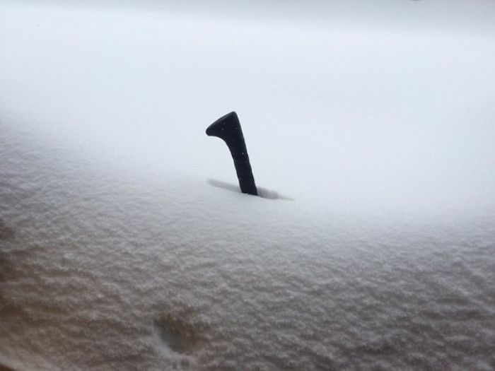 72 Pics That Perfectly Capture How Insane #Blizzard2016 Is 72 Pics That Perfectly Capture How Insane #Blizzard2016 Is