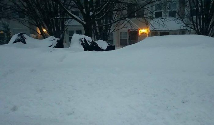 72 Pics That Perfectly Capture How Insane #Blizzard2016 Is 72 Pics That Perfectly Capture How Insane #Blizzard2016 Is