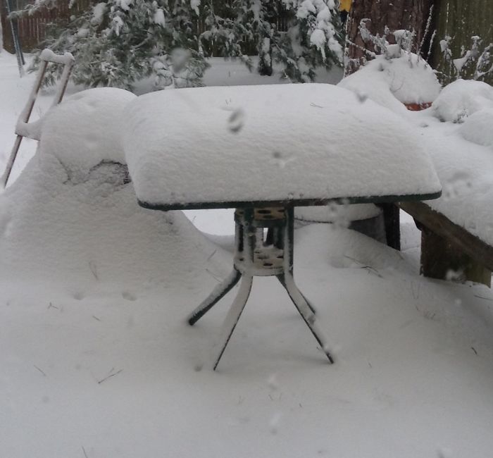 72 Pics That Perfectly Capture How Insane #Blizzard2016 Is 72 Pics That Perfectly Capture How Insane #Blizzard2016 Is