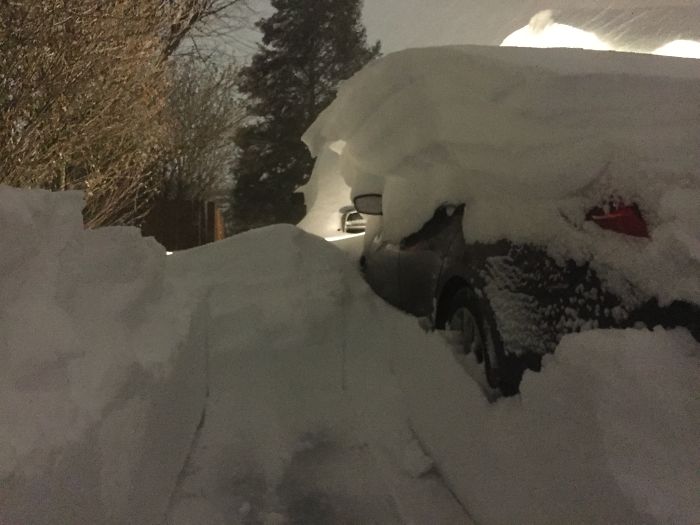 72 Pics That Perfectly Capture How Insane #Blizzard2016 Is 72 Pics That Perfectly Capture How Insane #Blizzard2016 Is