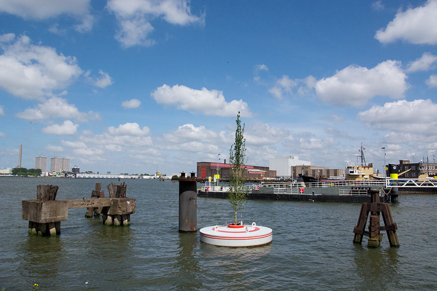 A Floating Forest To Be Installed In Rotterdam A Floating Forest To Be Installed In Rotterdam