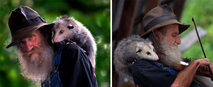 36 Awesome Possums And Opossums