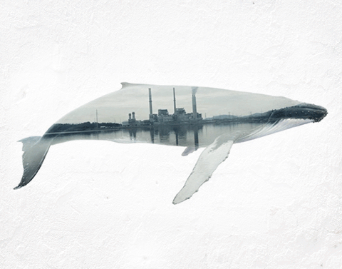 Double Exposure GIFs Of Wild Animals Show How Humans Destroy Their Habitats
