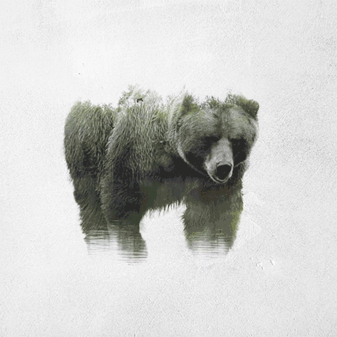 Double Exposure GIFs Of Wild Animals Show How Humans Destroy Their Habitats