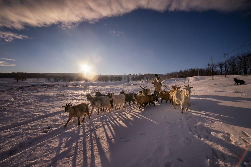 A Glimpse Of The Romanian Winter, Like In The Old Days
