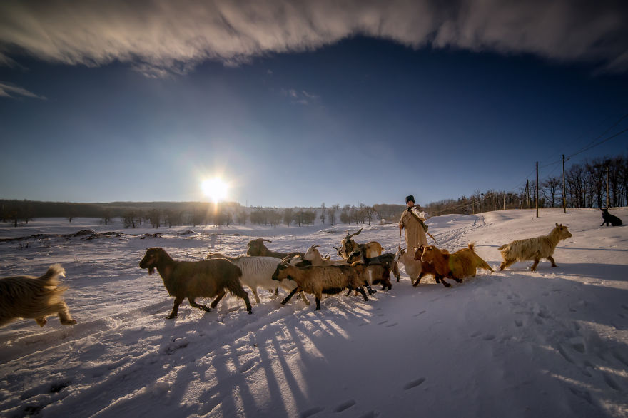 A Glimpse Of The Romanian Winter, Like In The Old Days