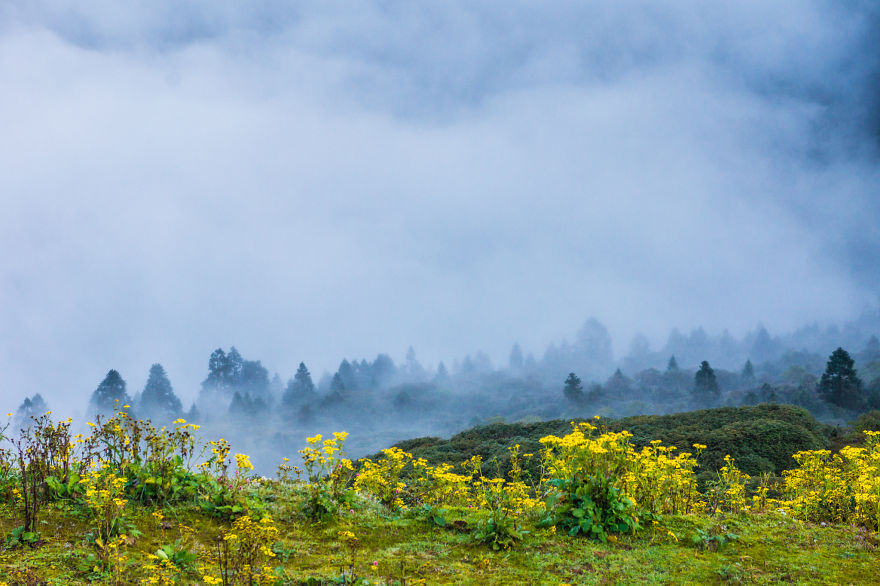 I Traveled To Nepal Before, During, And After The Earthquake, And You Should Come There In 2016 I Traveled To Nepal Before, During, And After The Earthquake, And You Should Come There In 2016