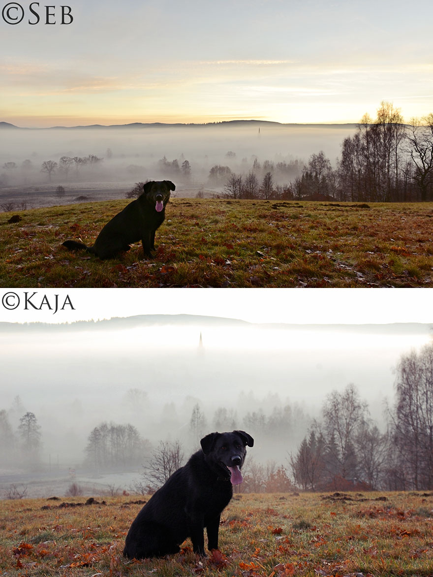 Despite Being A Professional Photographer, I Decided To Learn Anew From My Daughter With Down Syndrome